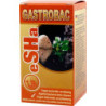 eSHa GASTROBAC – Traitement des infections intestinales 10 ml