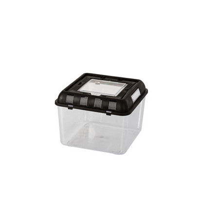BOITE DE TRANSPORT REPTILES 26x26x20cm REPTIZOO