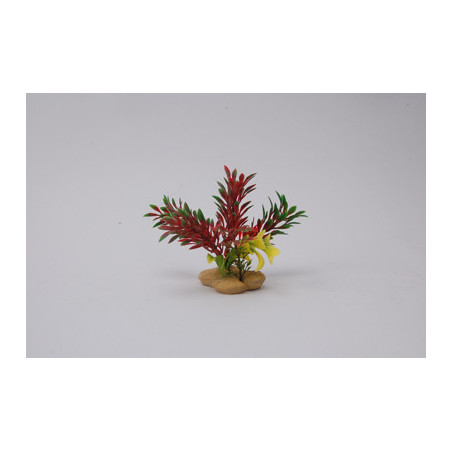 PLANT H:10cm SCALARE---