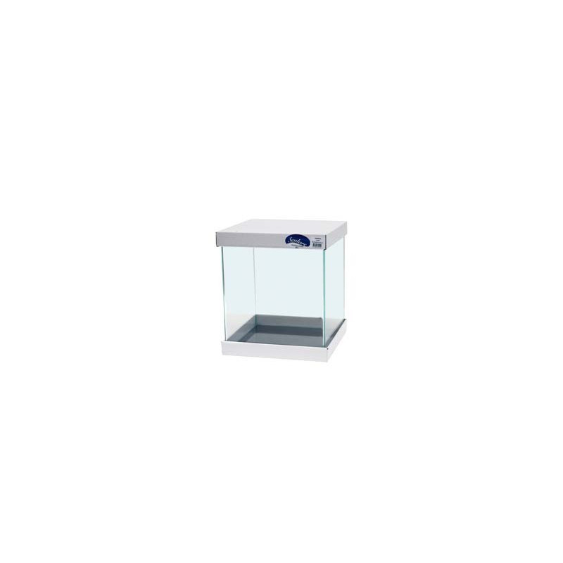 CUVE ULTRA CLEAR bords incurvés 40x40x40cm 5mm 64L SCALARE CUVE ULTRA CLEAR bords incurvés 40x40x40cm 5mm 64L SCALARE