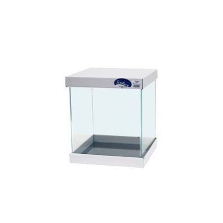 CUVE ULTRA CLEAR bords incurvés 40x40x40cm 5mm 64L SCALARE