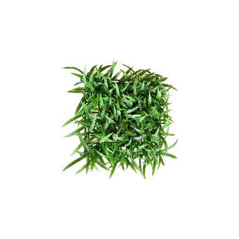 TERRA TAPIS HERBE 32cm SCALARE