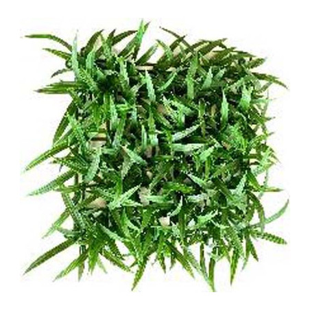 TERRA TAPIS HERBE 32cm SCALARE