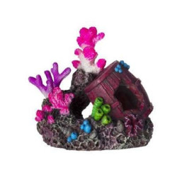 Coraux 11.2x7.2x10cm SCALARE