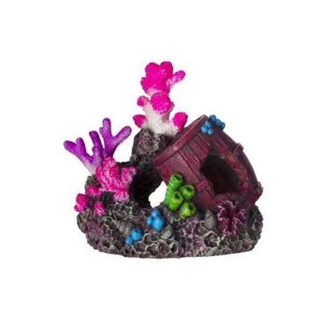 Coraux 11.2x7.2x10cm SCALARE