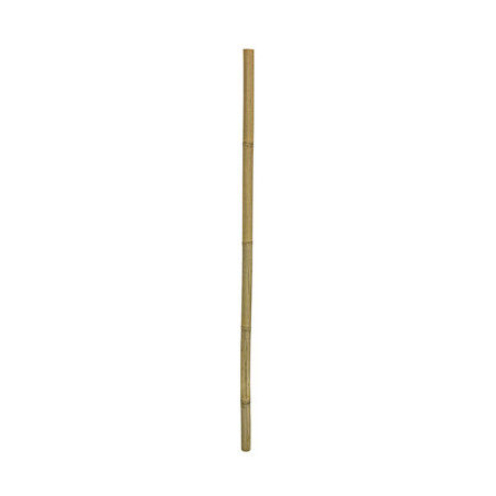 BAMBOO STIX 100cm dia.2-3cm HOBBY----