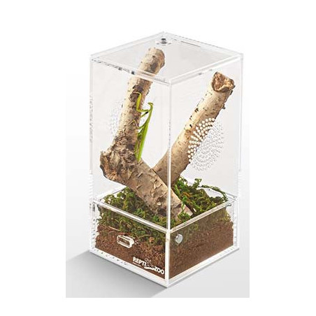 BOITE INSECTES ACRYLIQUE 10.2x10.2x20.3cm REPTIZOO