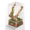 BOITE INSECTES ACRYLIQUE 10.2x10.2x20.3cm REPTIZOO