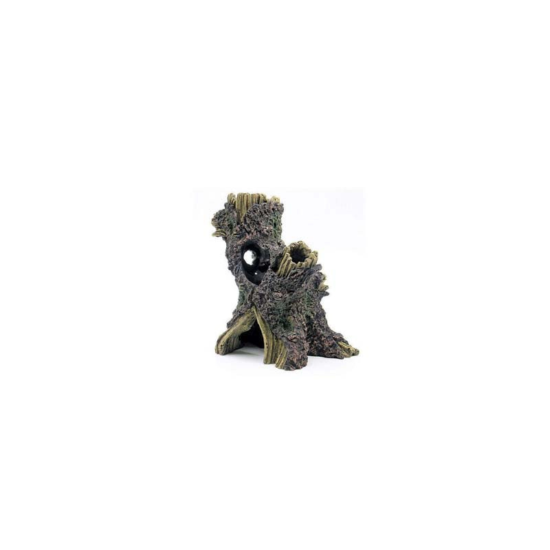Souche 14.3x9.7x15cm SCALARE