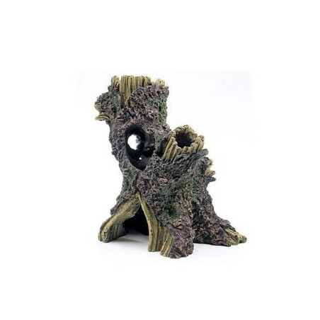 Souche 14.3x9.7x15cm SCALARE