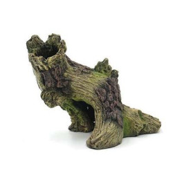 Souche 13.8x10x10cm SCALARE