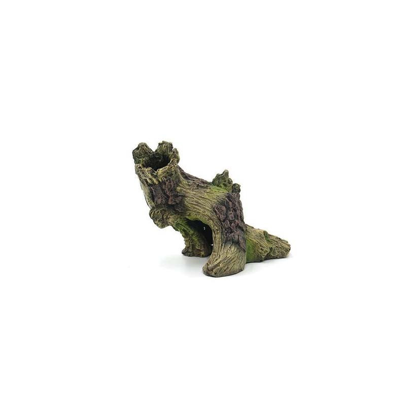 Souche 13.8x10x10cm SCALARE Souche 13.8x10x10cm SCALARE