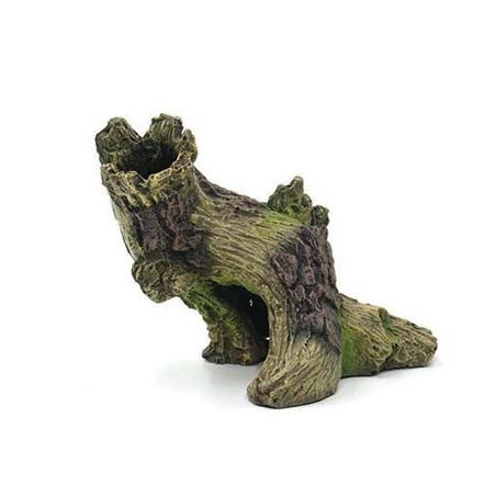 Souche 13.8x10x10cm SCALARE