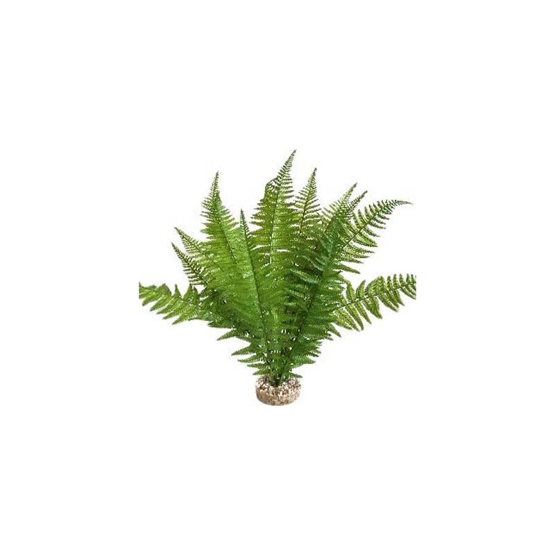 TERRA FOUGERE 46cm SCALARE