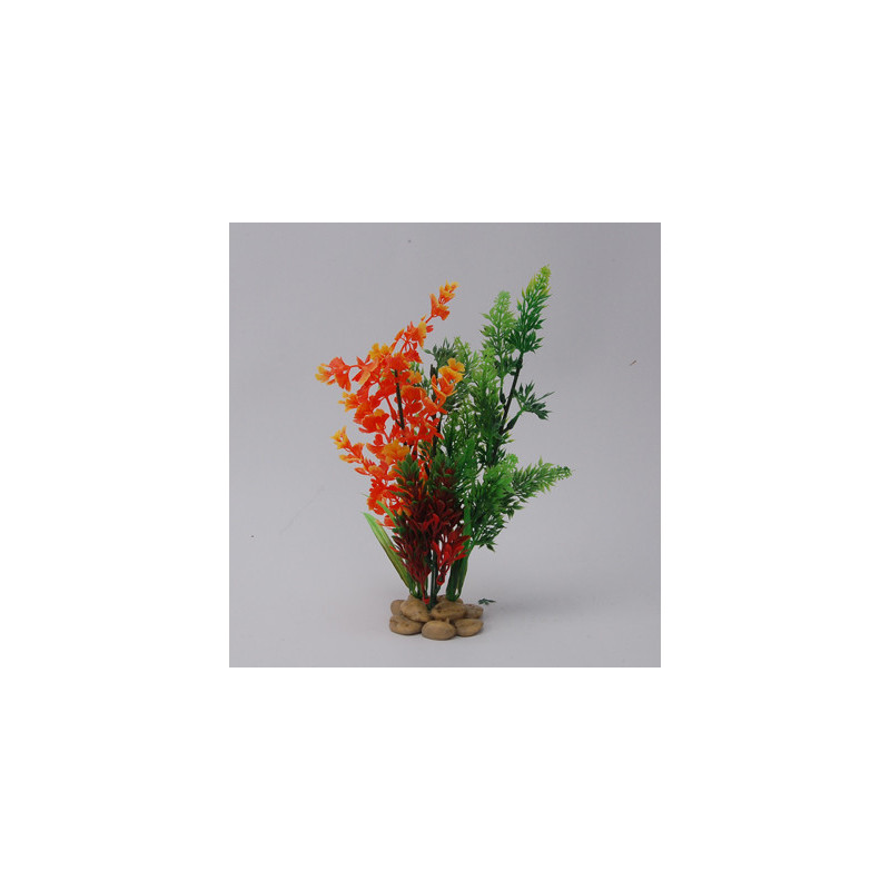 PLANT H:26cm SCALARE---