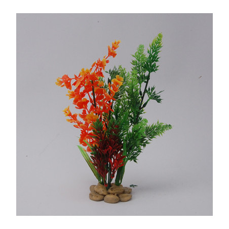 PLANT H:26cm SCALARE---