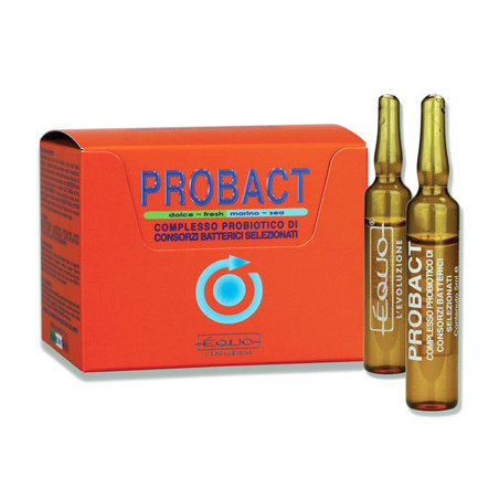 PROBACT 5ml 24 ampoules EQUO