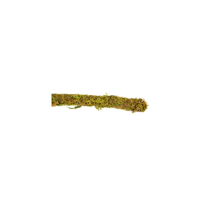 VINE MOUSSE NATURELLE Lg:2000mm dia:20mm REPTIZOO VINE MOUSSE NATURELLE Lg:2000mm dia:20mm REPTIZOO