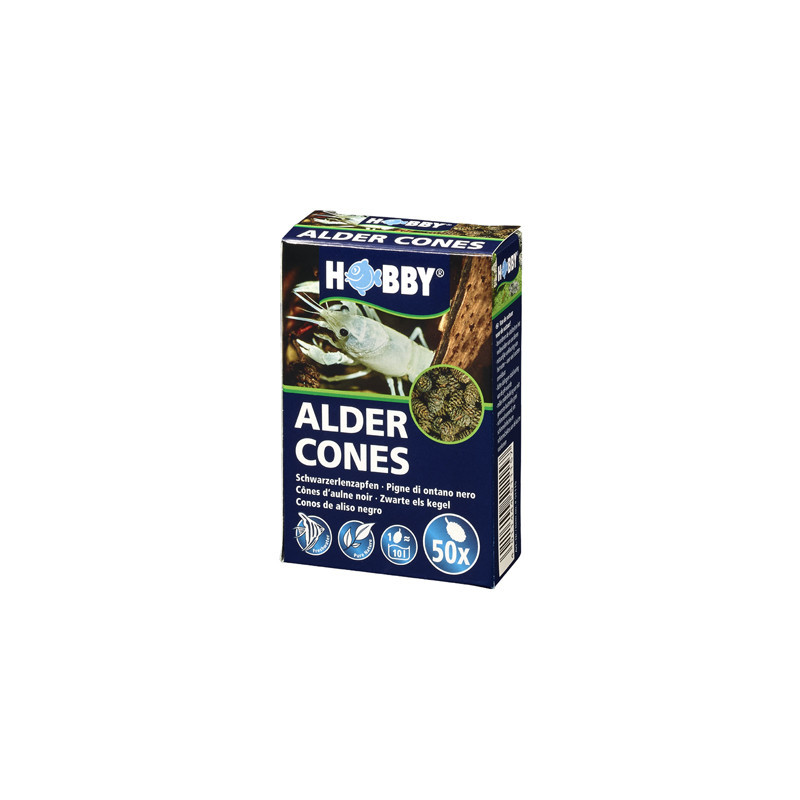 *ALDER CONES 50pc HOBBY (sur commande) *ALDER CONES 50pc HOBBY (sur commande)