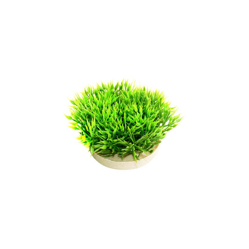 GREEN MOSS H:7cm SCALARE
