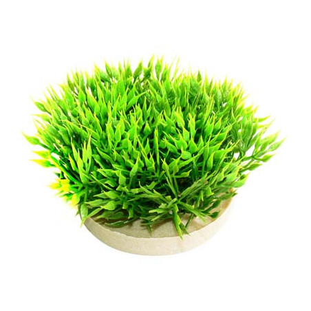 GREEN MOSS H:7cm SCALARE