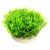 GREEN MOSS H:7cm SCALARE