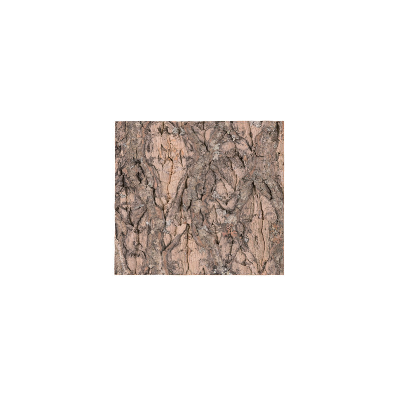 NATURAL CORK TILE BACKGROUND 20x20cm REPTIZOO NATURAL CORK TILE BACKGROUND 20x20cm REPTIZOO