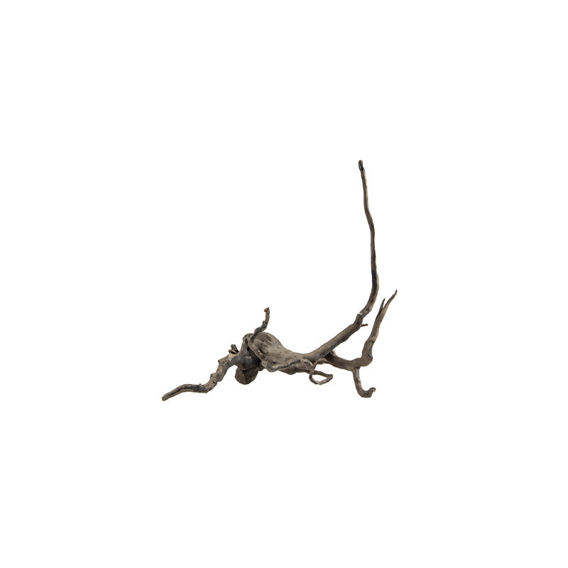 RACINE FINGERWOOD S DARK 20-30cm HOBBY