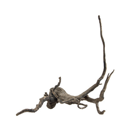 RACINE FINGERWOOD S DARK 20-30cm HOBBY