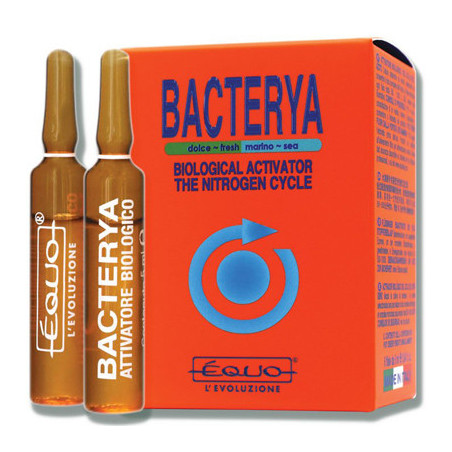BACTERYA 5ml 6 ampoules EQUO