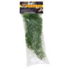 PLANTE CANABIS     MM - ZM