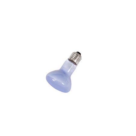 LAMPE CHAUFFANTE BEAM SPOT 40W REPTIZOO---