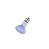 LAMPE CHAUFFANTE BEAM SPOT 40W REPTIZOO---