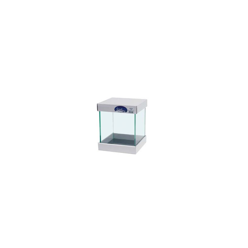 CUVE 30x30x35cm 5mm 31L SCALARE