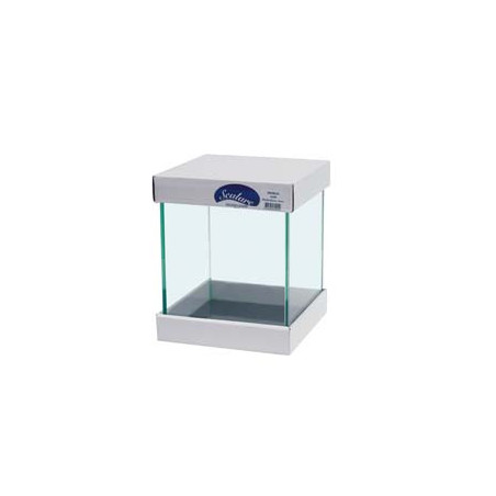 CUVE 30x30x35cm 5mm 31L SCALARE