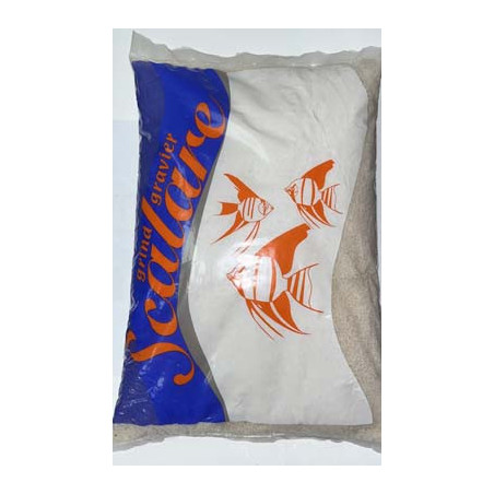 SCALARE GRIND BEACH 10kg