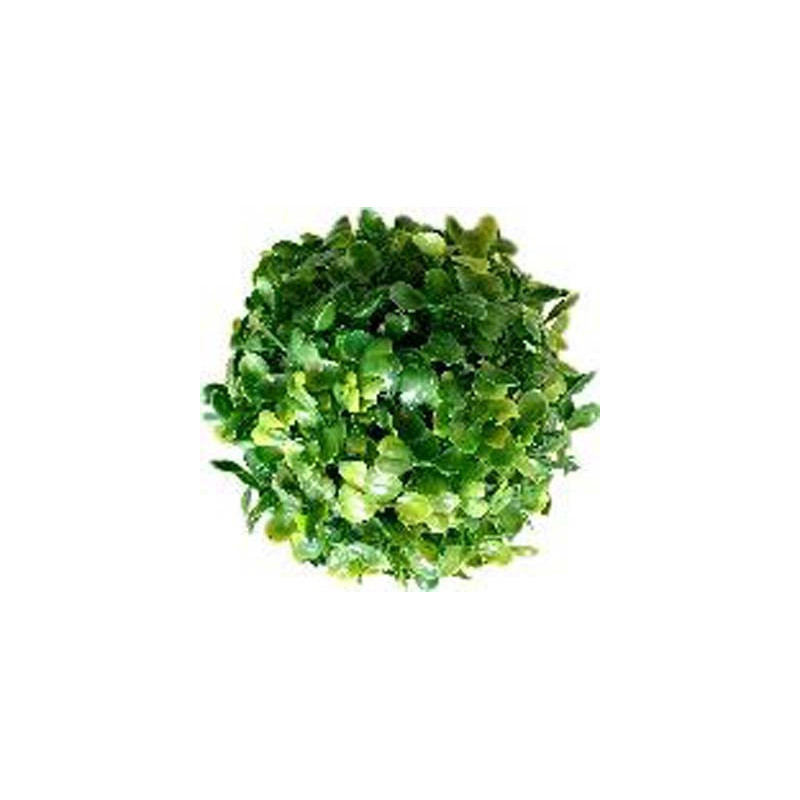 TERRA BOULE BUI 13cm SCALARE