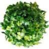 TERRA BOULE BUI 13cm SCALARE