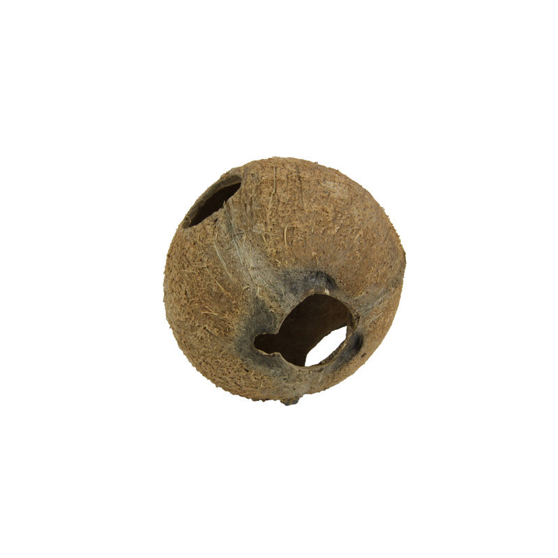 COCOS CAVA 1/1L JBL
