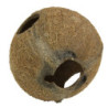 COCOS CAVA 1/1L JBL