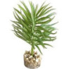 TERRA PLANTE SUCCULENTE 13cm SCALARE