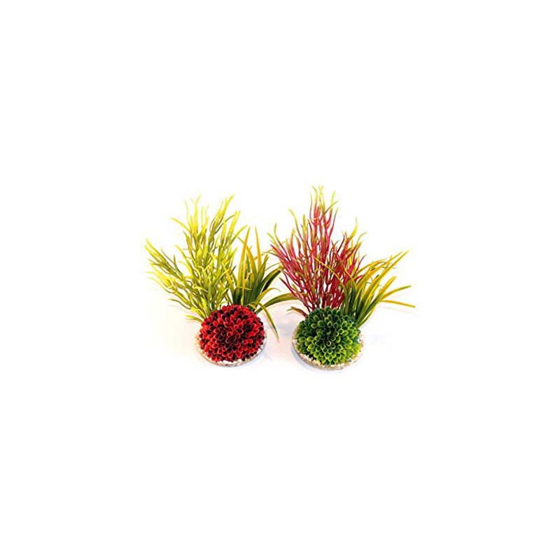 ISLET PLANT H:20cm SCALARE