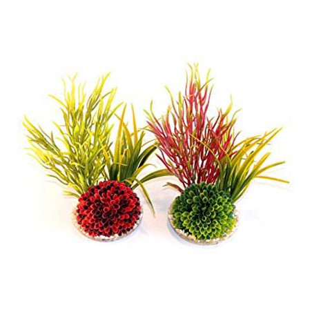 ISLET PLANT H:20cm SCALARE