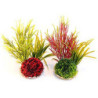 ISLET PLANT H:20cm SCALARE