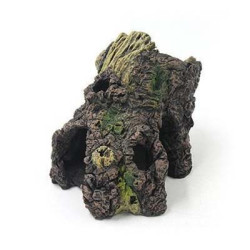 Souche 13x9.6x9.5cm SCALARE