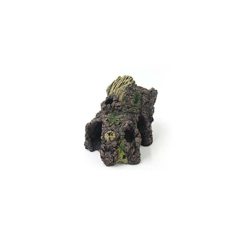 Souche 13x9.6x9.5cm SCALARE Souche 13x9.6x9.5cm SCALARE