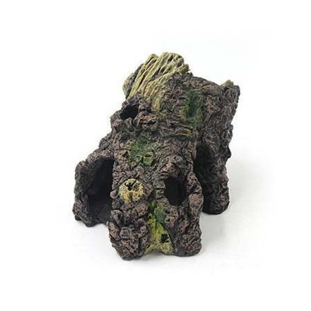 Souche 13x9.6x9.5cm SCALARE