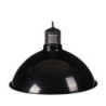 DOME REFLECTEUR MAX. 150W REPTIZOO