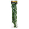 PLANTE CONGO IVY    GM    -ZM