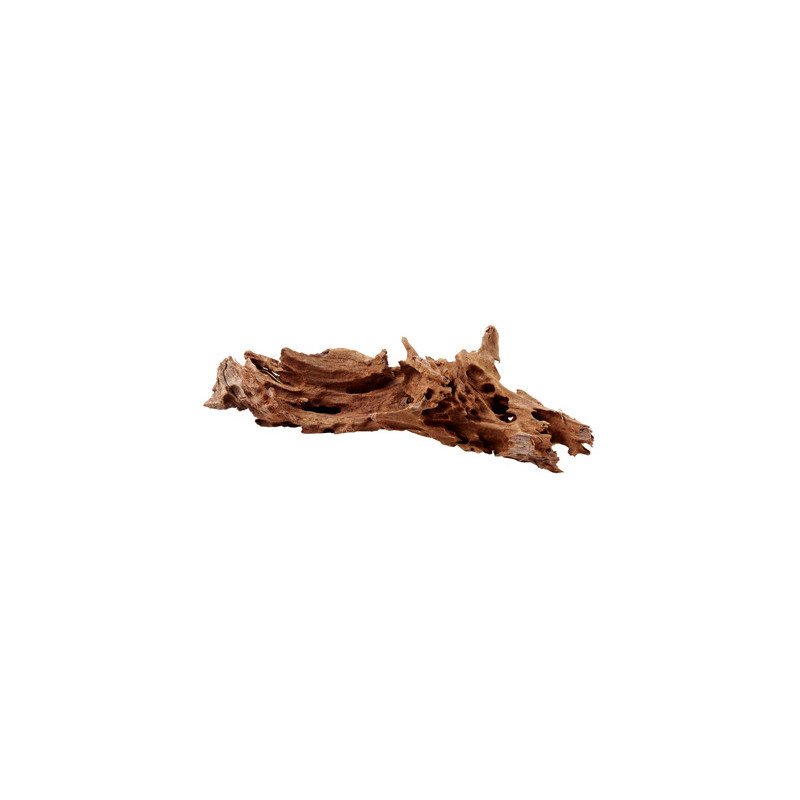 RACINE MANGROVE M 25-35cm HOBBY RACINE MANGROVE M 25-35cm HOBBY